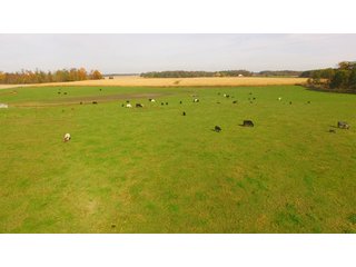 Property photo 36 - MAJOR LAND AUCTION - 315+/- ACRES IN 16 TRACTS - 6 PROPERTIES IN WHITLEY & ALLEN COUNTIES, INDIANA